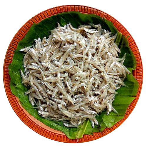 Kachki Fish (কাচকি মাছ)